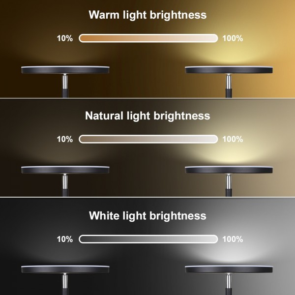 Dimunt LED Floor Lamps for Living Room Bright Lighting, 27W/2000LM Main Light and 7W/350LM Side Reading Lamp